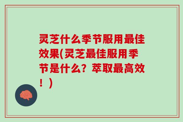 灵芝什么季节服用最佳效果(灵芝最佳服用季节是什么？萃取最高效！)