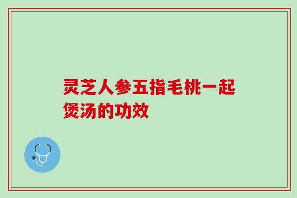 灵芝人参五指毛桃一起煲汤的功效