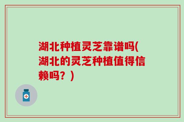 湖北种植灵芝靠谱吗(湖北的灵芝种植值得信赖吗？)