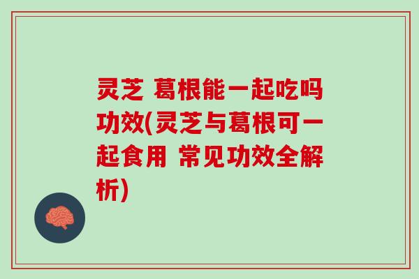 灵芝 葛根能一起吃吗功效(灵芝与葛根可一起食用 常见功效全解析)