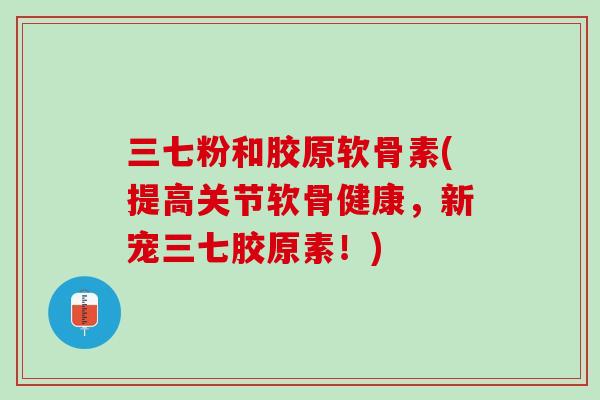 三七粉和胶原软骨素(提高关节软骨健康，新宠三七胶原素！)