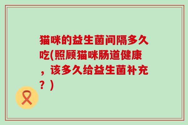 猫咪的益生菌间隔多久吃(照顾猫咪肠道健康，该多久给益生菌补充？)