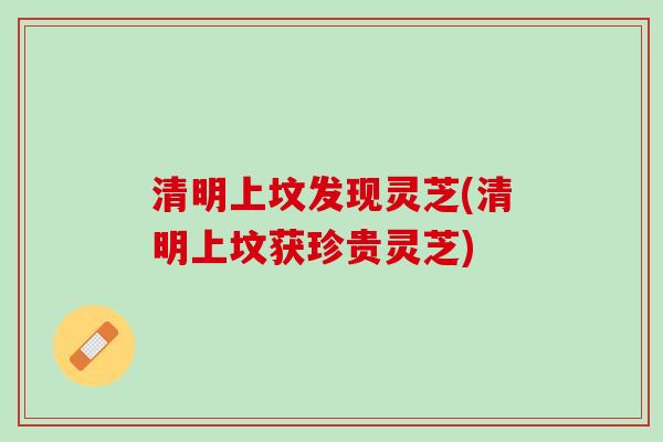 清明上坟发现灵芝(清明上坟获珍贵灵芝)