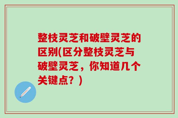整枝灵芝和破壁灵芝的区别(区分整枝灵芝与破壁灵芝，你知道几个关键点？)