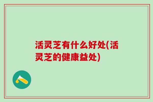 活灵芝有什么好处(活灵芝的健康益处)