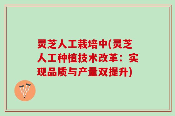 灵芝人工栽培中(灵芝人工种植技术改革：实现品质与产量双提升)