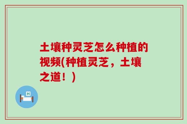 土壤种灵芝怎么种植的视频(种植灵芝，土壤之道！)