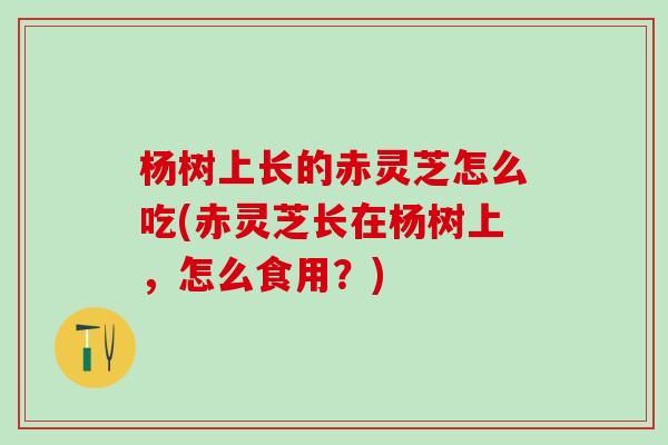 杨树上长的赤灵芝怎么吃(赤灵芝长在杨树上，怎么食用？)