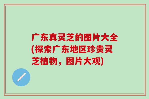 广东真灵芝的图片大全(探索广东地区珍贵灵芝植物，图片大观)