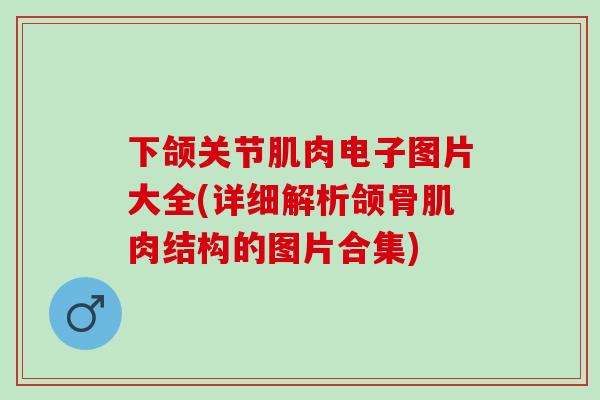 下颌关节肌肉电子图片大全(详细解析颌骨肌肉结构的图片合集)