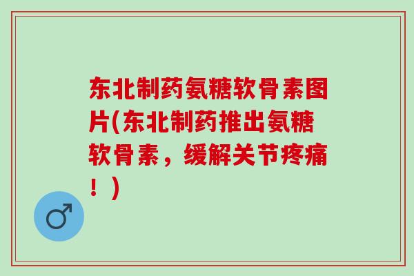 东北制药氨糖软骨素图片(东北制药推出氨糖软骨素，缓解关节疼痛！)