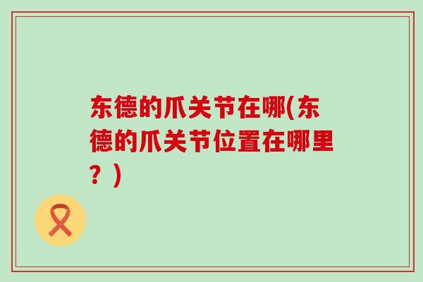 东德的爪关节在哪(东德的爪关节位置在哪里？)