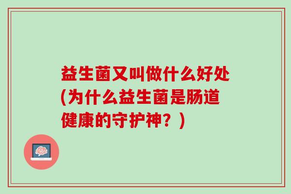 益生菌又叫做什么好处(为什么益生菌是肠道健康的守护神？)