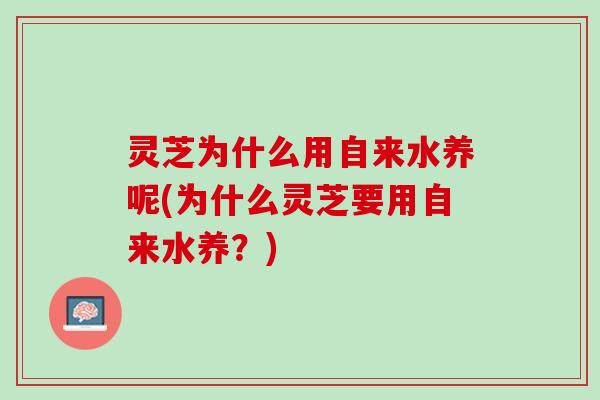 灵芝为什么用自来水养呢(为什么灵芝要用自来水养？)