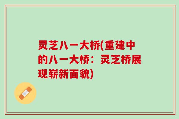灵芝八一大桥(重建中的八一大桥：灵芝桥展现崭新面貌)