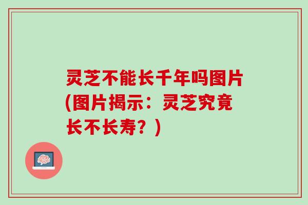 灵芝不能长千年吗图片(图片揭示：灵芝究竟长不长寿？)