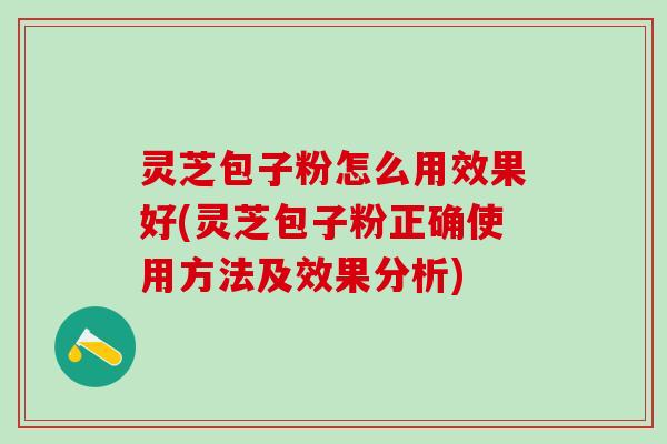 灵芝包子粉怎么用效果好(灵芝包子粉正确使用方法及效果分析)