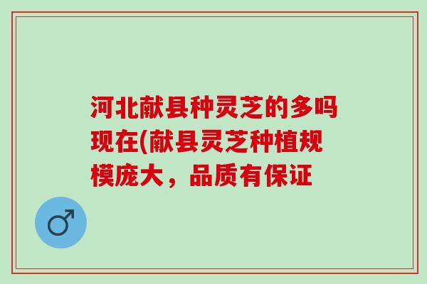 河北献县种灵芝的多吗现在(献县灵芝种植规模庞大，品质有保证