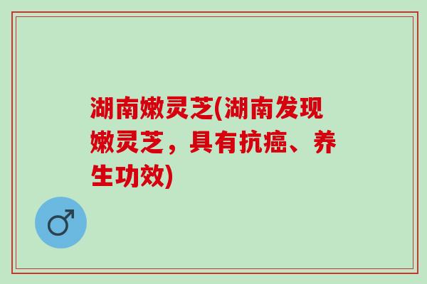 湖南嫩灵芝(湖南发现嫩灵芝，具有抗癌、养生功效)
