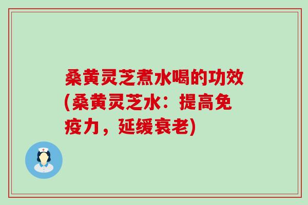 桑黄灵芝煮水喝的功效(桑黄灵芝水：提高免疫力，延缓衰老)