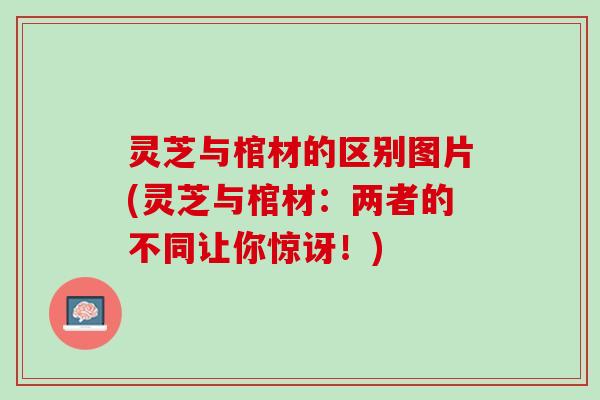 灵芝与棺材的区别图片(灵芝与棺材：两者的不同让你惊讶！)