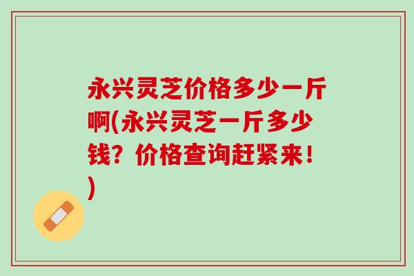 永兴灵芝价格多少一斤啊(永兴灵芝一斤多少钱？价格查询赶紧来！)