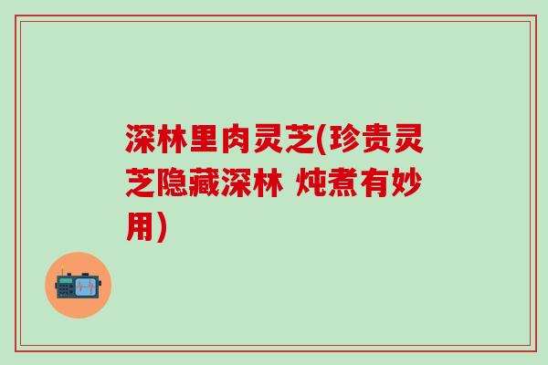 深林里肉灵芝(珍贵灵芝隐藏深林 炖煮有妙用)