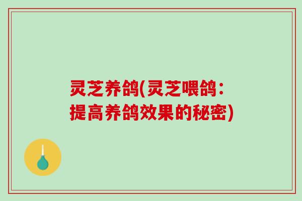 灵芝养鸽(灵芝喂鸽：提高养鸽效果的秘密)