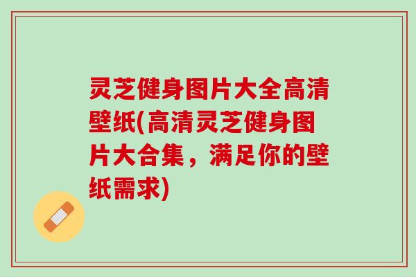 灵芝健身图片大全高清壁纸(高清灵芝健身图片大合集，满足你的壁纸需求)