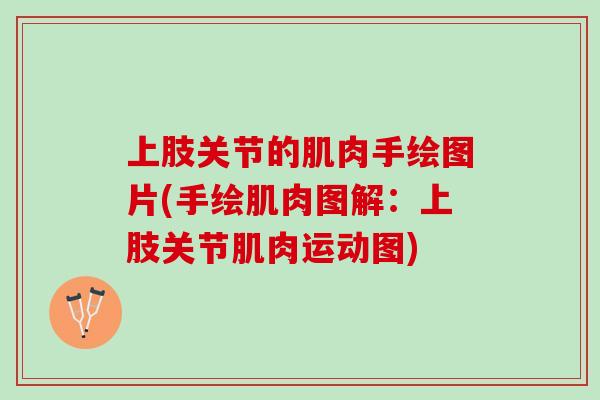 上肢关节的肌肉手绘图片(手绘肌肉图解：上肢关节肌肉运动图)