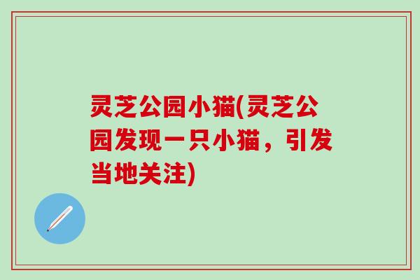 灵芝公园小猫(灵芝公园发现一只小猫，引发当地关注)