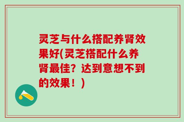灵芝与什么搭配养肾效果好(灵芝搭配什么养肾最佳？达到意想不到的效果！)