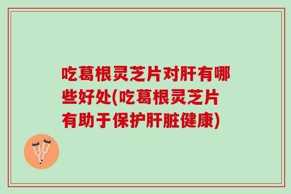 吃葛根灵芝片对肝有哪些好处(吃葛根灵芝片有助于保护肝脏健康)