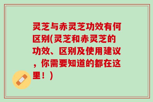 灵芝与赤灵芝功效有何区别(灵芝和赤灵芝的功效、区别及使用建议，你需要知道的都在这里！)