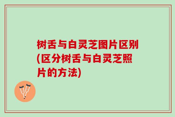 树舌与白灵芝图片区别(区分树舌与白灵芝照片的方法)