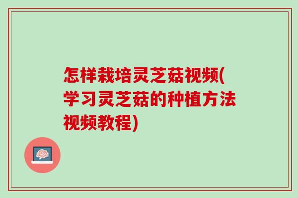 怎样栽培灵芝菇视频(学习灵芝菇的种植方法视频教程)