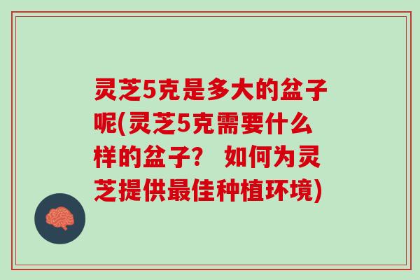 灵芝5克是多大的盆子呢(灵芝5克需要什么样的盆子？ 如何为灵芝提供最佳种植环境)