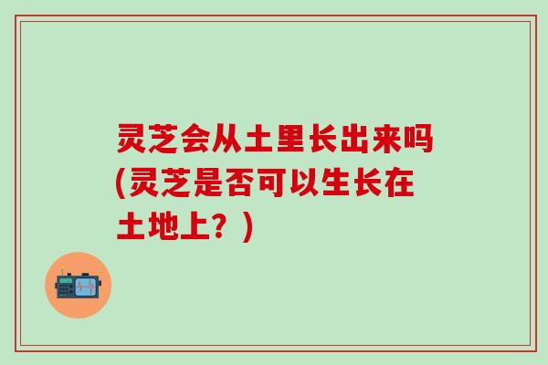 灵芝会从土里长出来吗(灵芝是否可以生长在土地上？)