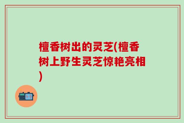 檀香树出的灵芝(檀香树上野生灵芝惊艳亮相) 檀香树出的灵芝(檀香树上野生灵芝惊艳亮相)