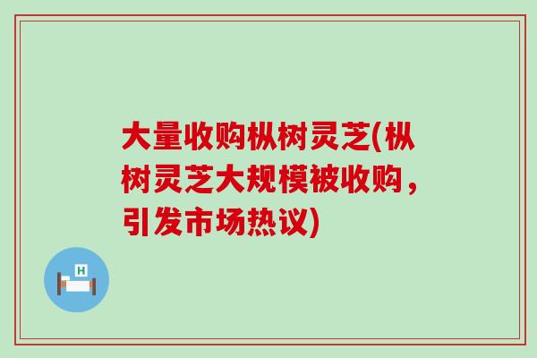 大量收购枞树灵芝(枞树灵芝大规模被收购，引发市场热议)