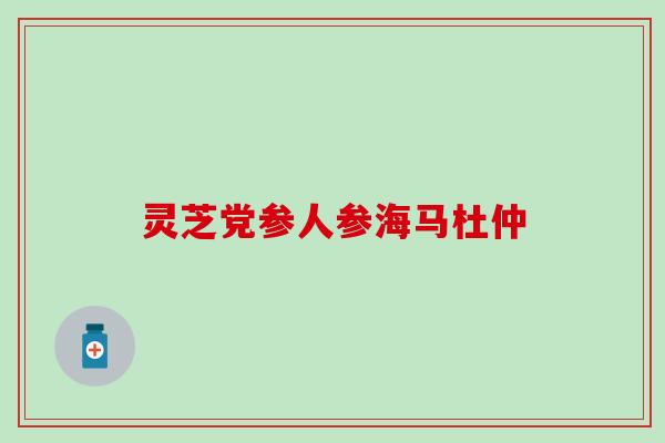 灵芝党参人参海马杜仲