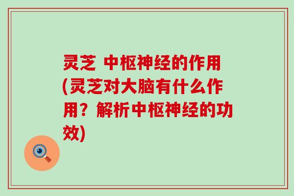 灵芝 中枢神经的作用(灵芝对大脑有什么作用？解析中枢神经的功效)