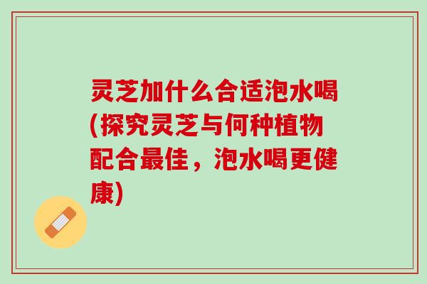 灵芝加什么合适泡水喝(探究灵芝与何种植物配合最佳，泡水喝更健康)