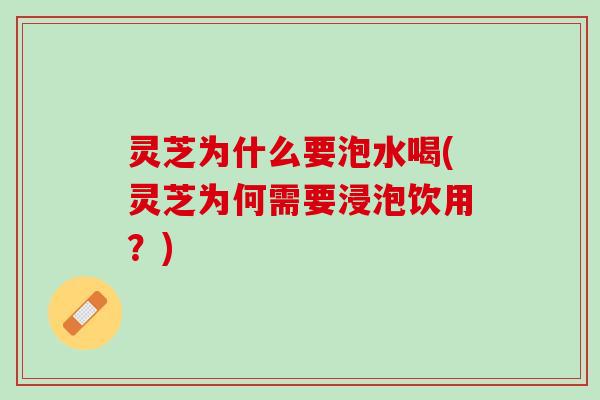 灵芝为什么要泡水喝(灵芝为何需要浸泡饮用？)