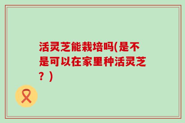 活灵芝能栽培吗(是不是可以在家里种活灵芝？)