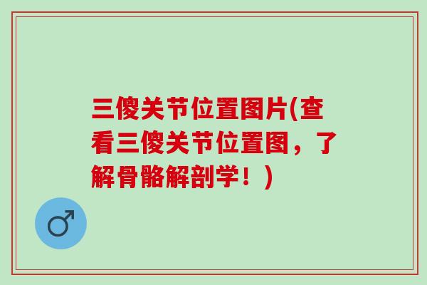 三傻关节位置图片(查看三傻关节位置图，了解骨骼解剖学！)