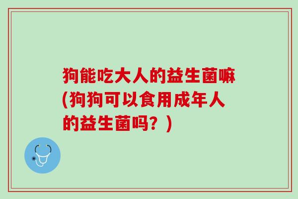 狗能吃大人的益生菌嘛(狗狗可以食用成年人的益生菌吗？)