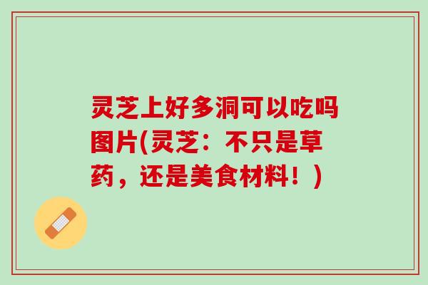 灵芝上好多洞可以吃吗图片(灵芝：不只是草药，还是美食材料！)