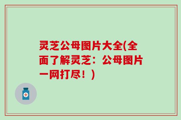 灵芝公母图片大全(全面了解灵芝：公母图片一网打尽！)