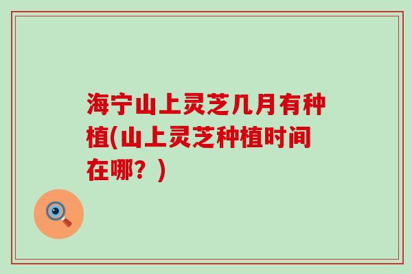 海宁山上灵芝几月有种植(山上灵芝种植时间在哪？)